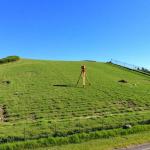 Residential Land Plots